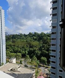 Blk 87 Telok Blangah Heights (Bukit Merah), HDB 4 Rooms #445679011